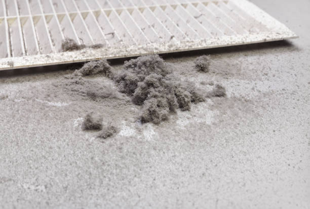 Best Local Air Duct Cleaning Services  in Kingston, IL